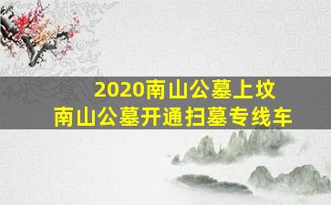 2020南山公墓上坟 南山公墓开通扫墓专线车